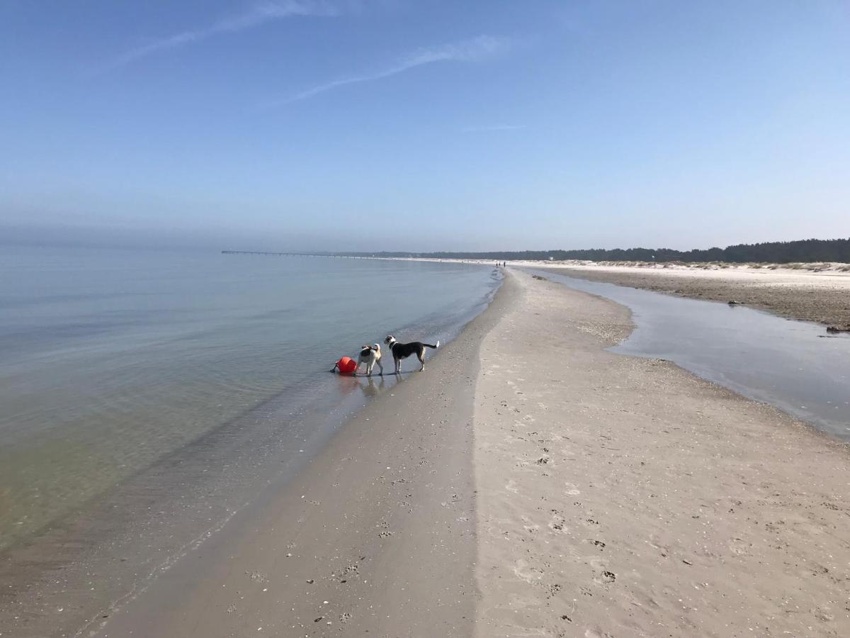 Ferienwohnung Strandperle Prerow Kültér fotó